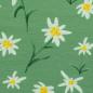 Preview: Baumwolljersey Alpenliebe Edelweiß auf Grün by Swafing von Mrs. Mint Design